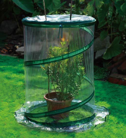 Zenport Mini Greenhouse SH3240 26-inch Portable Pop-Up Greenhouse Protects Garden from Frost (image for) Zenport Mini Greenhouse SH3240 26-inch Portable Pop-Up Greenhouse Protects Garden from Frost