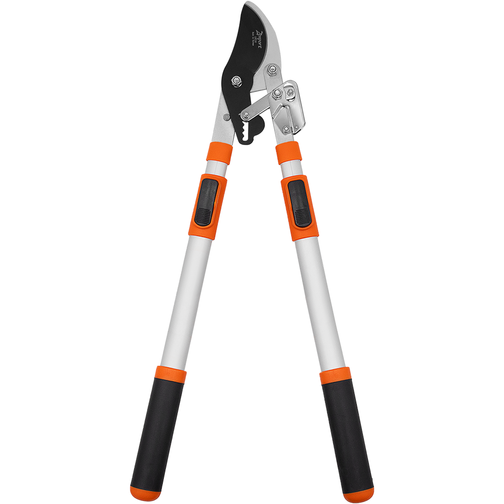 Zenport Lopper LRT10 Telescopic Ratchet Bypass Lopper 31-Inch to 43-Inch (image for) Zenport Lopper LRT10 Telescopic Ratchet Bypass Lopper 31-Inch to 43-Inch