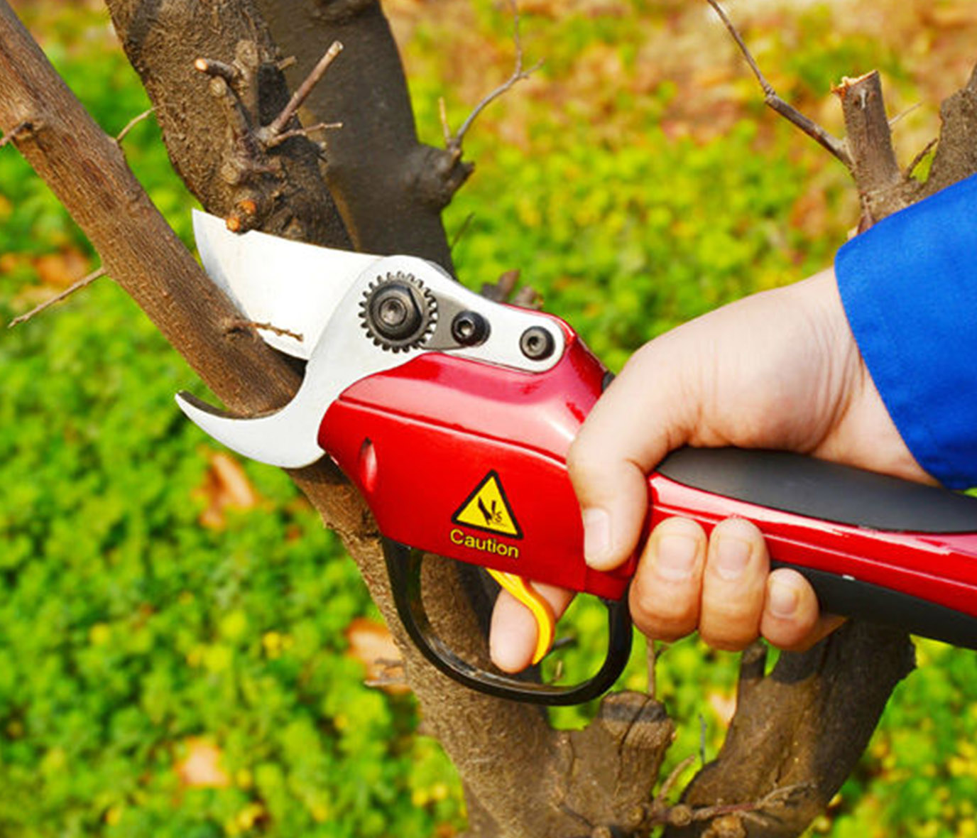 Zenport SCA Repair 1-Hour Service on Battery Powered Electric Shears - Click Image to Close