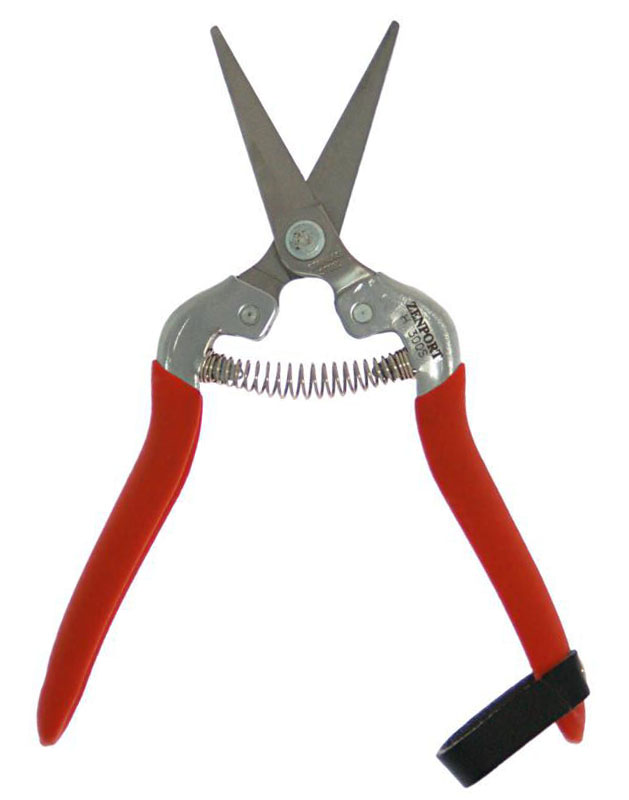 Zenport H300S Harvest Shears, Long Stainless Blade, Straight Edge, Propagation, Harvesting, Thinning Plants, Cutting Flowers - Click Image to Close