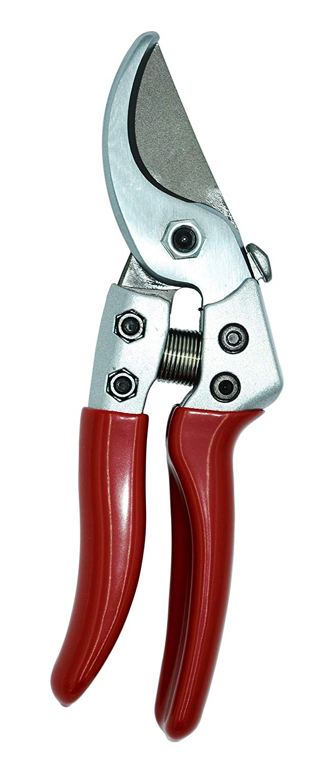 Zenport QV6 Pruner, Japanese Squeeze Open Pro, Chrome Plated Blade, Half-Inch Cut, 6-Inch Long - Click Image to Close