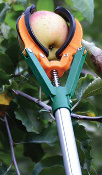Zenport Fruit Picker ZL6146B 10-Foot Telescopic Fruit Picker, Long Reach Fruit Harvester - Click Image to Close