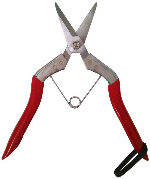 Zenport Shears H970-1 Long Deluxe Thinning Pomelo Shear 7.5-Inch Long With Wishbone Spring