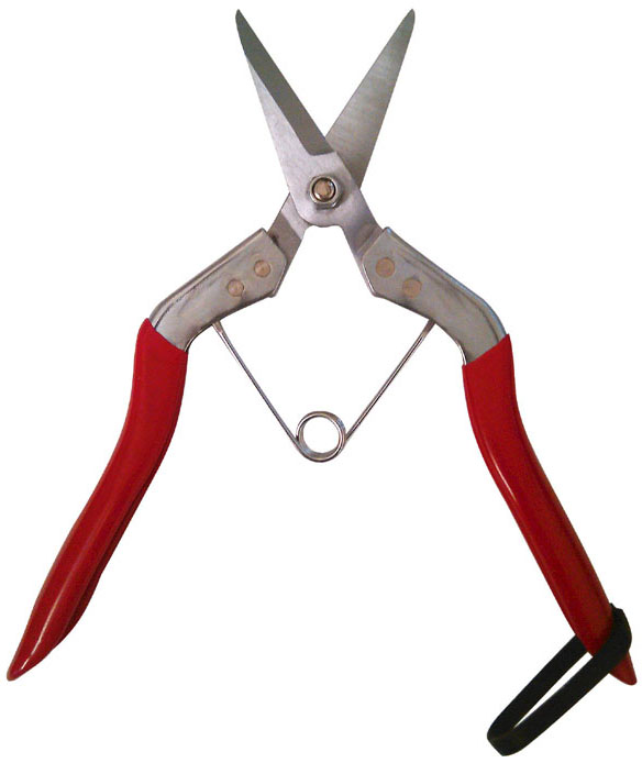 Zenport Tijeras H970 Deluxe Adelgazamiento Shear, 7.5 pulgadas de largo , 1.625 pulgadas de hoja Straight Edge