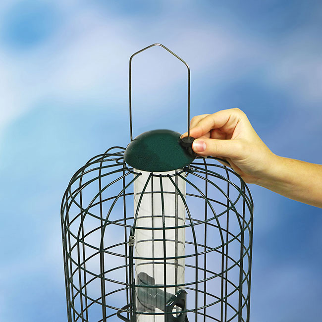 Zenport Caged Bird Feeder Z38002 Squirrel-X, Squirrel-Resistant - Click Image to Close