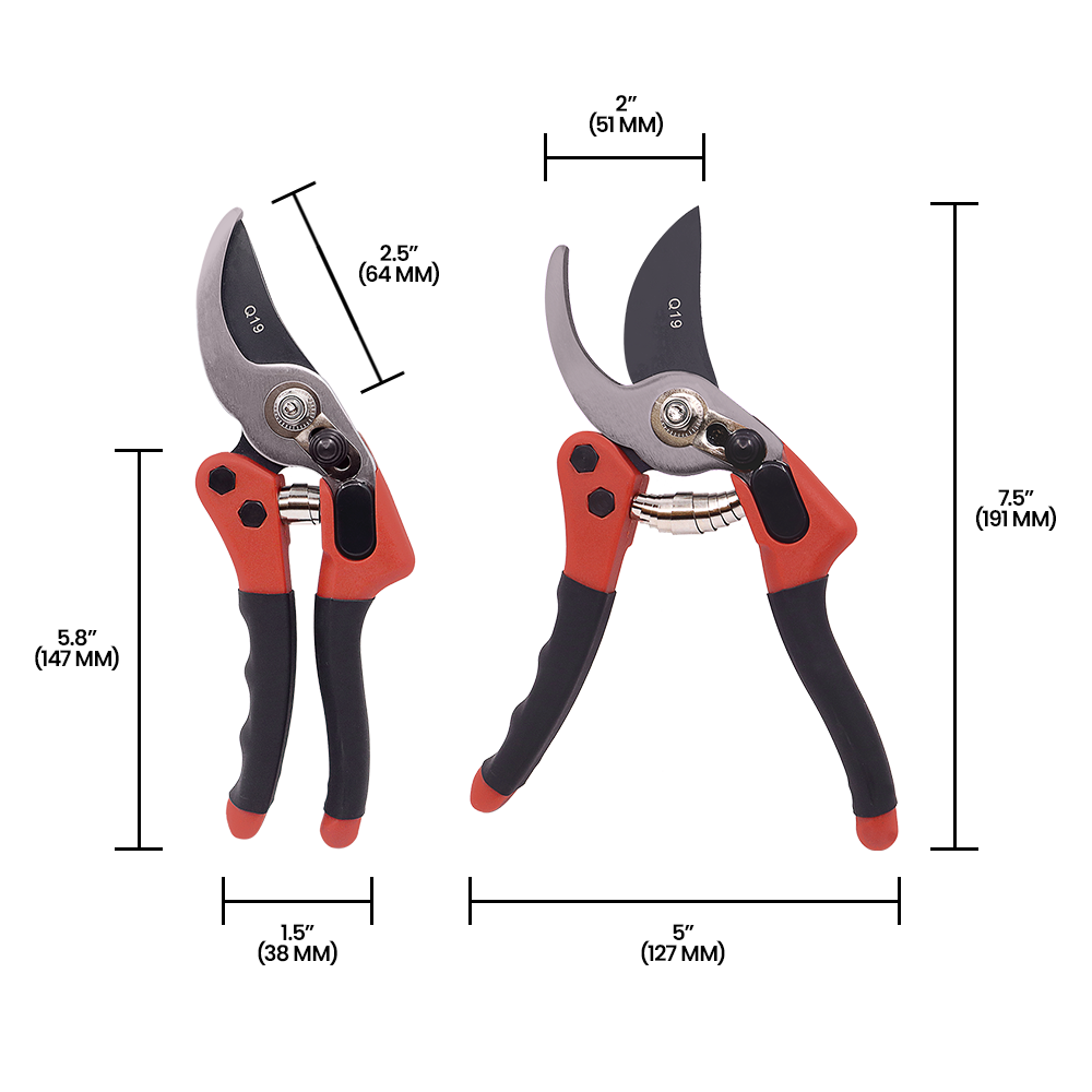 (image for) Zenport Q19 Pruner Euro-Pro Small, .75-inch Cut, 7.75-Inch Long