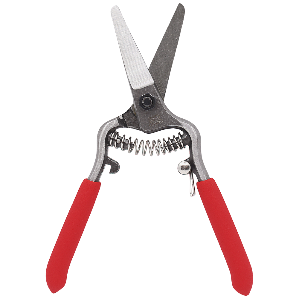 (image for) Zenport Z270 Pruner Small Needlenose Pruning Shear Pro, Bonsai and Orchids, Drop Forged Steel, 6-Inch Long, Straight Blade