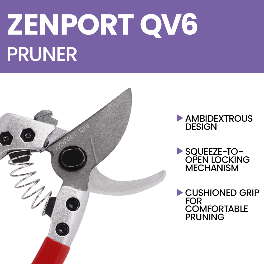 (image for) Zenport QV6 Pruner, Japanese Squeeze Open Pro, Chrome Plated Blade, Half-Inch Cut, 6-Inch Long