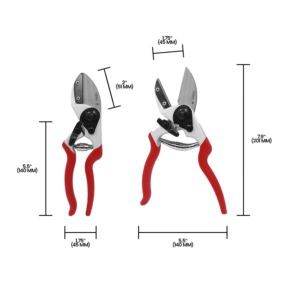 A generic image