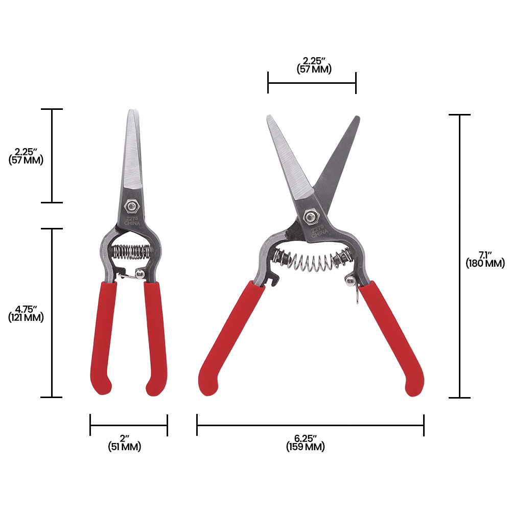 (image for) Zenport Z275 Pruner Large Needlenose Pruning Shear Pro, Flower, Drop Forged Steel, 8-Inch Long, Straight Blade