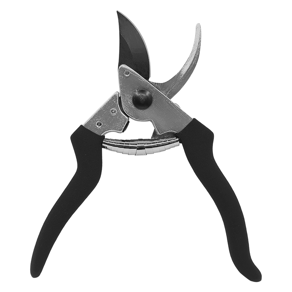 A generic image