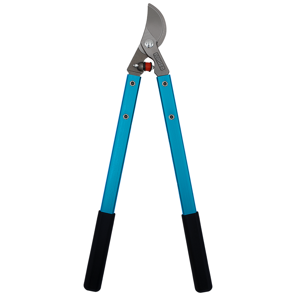 (image for) Zenport Lopper MV20 Professional Vine and Light Tree Lopper, 2-Inch Cut, Forged Head, 20-Inch Long
