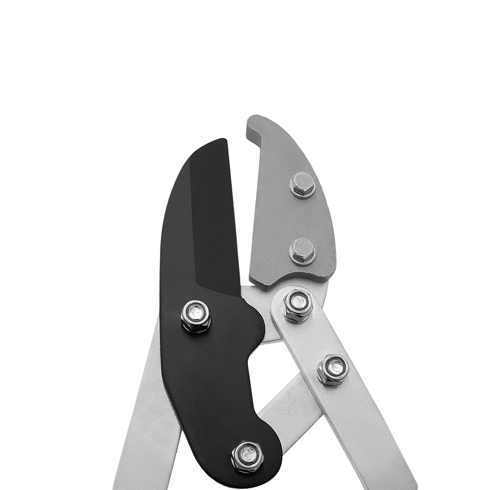 A generic image