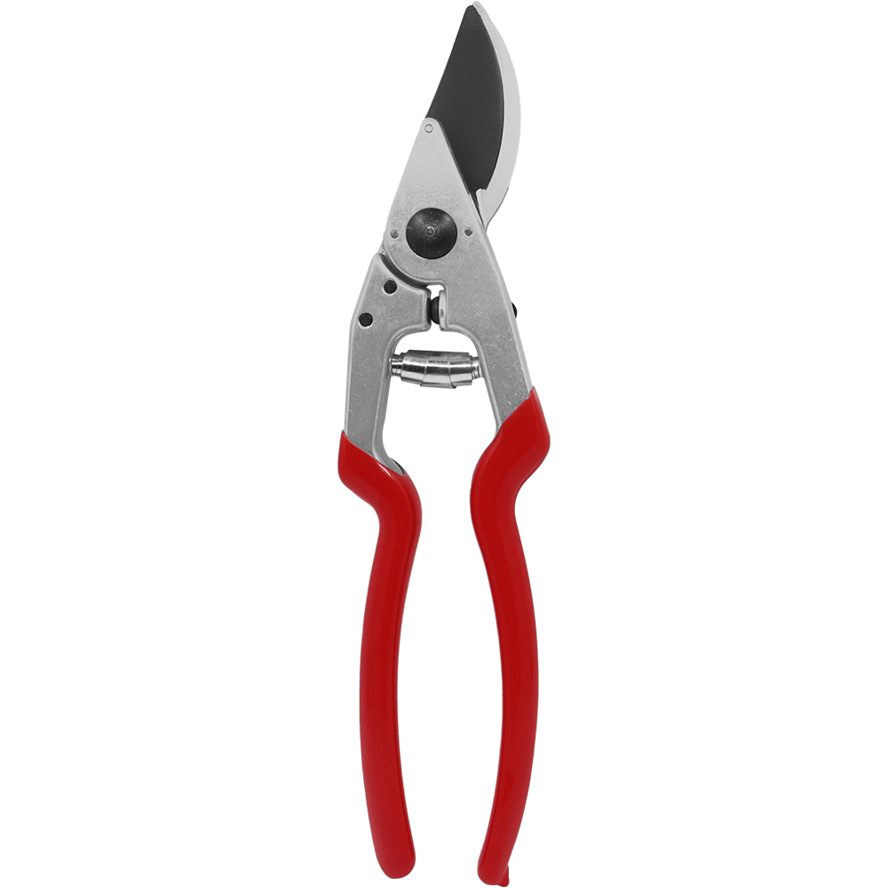 A generic image