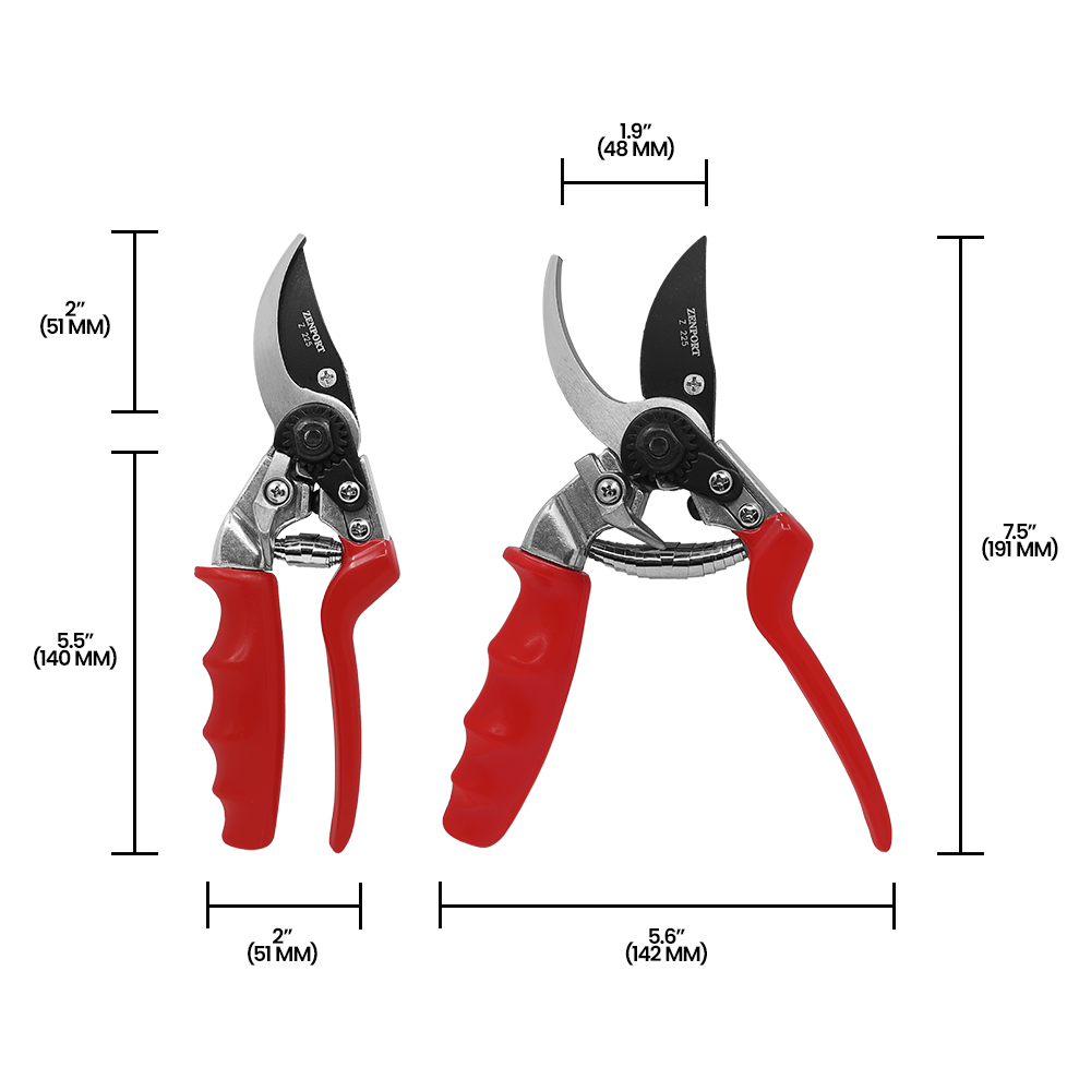 A generic image