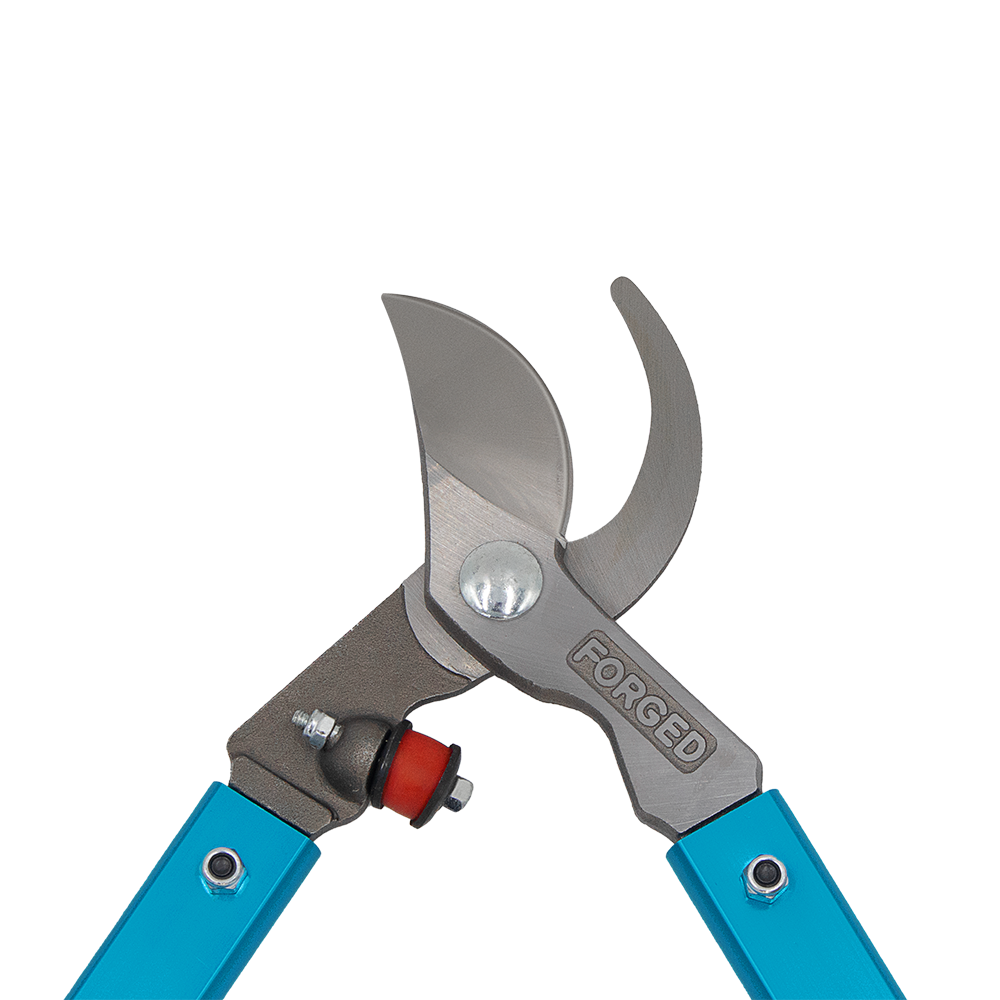 A generic image