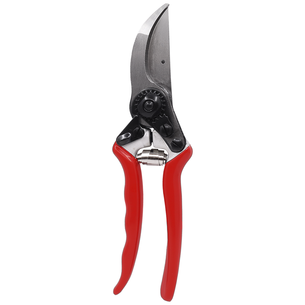 A generic image
