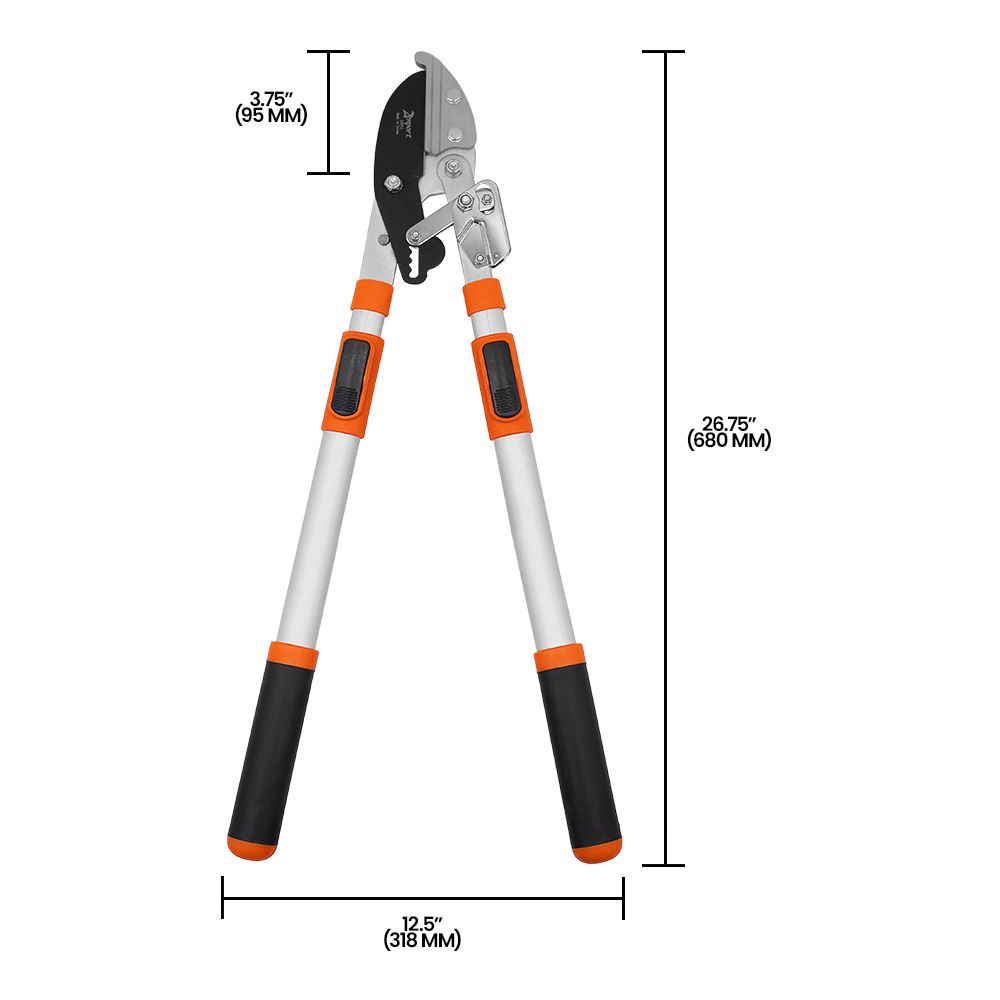 (image for) Zenport Lopper LRT11 Telescopic Ratchet Anvil Lopper, 30-Inch to 42-Inch
