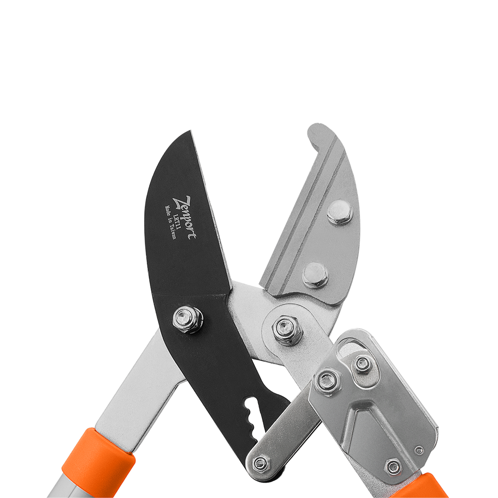 A generic image