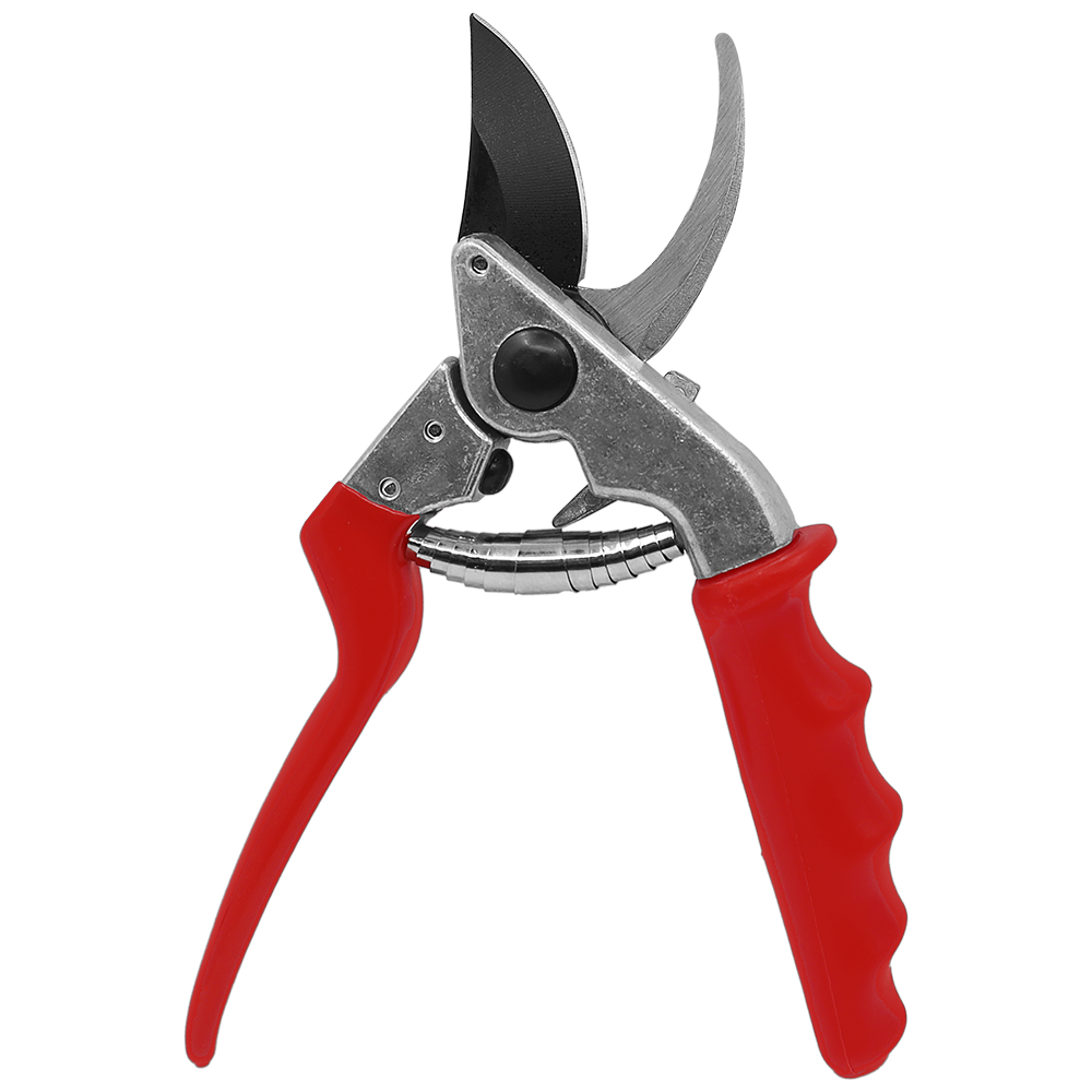 A generic image
