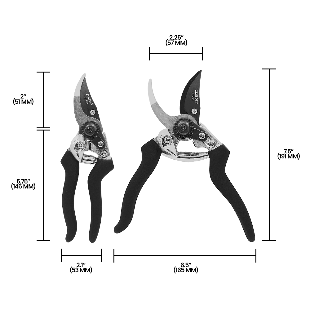 A generic image