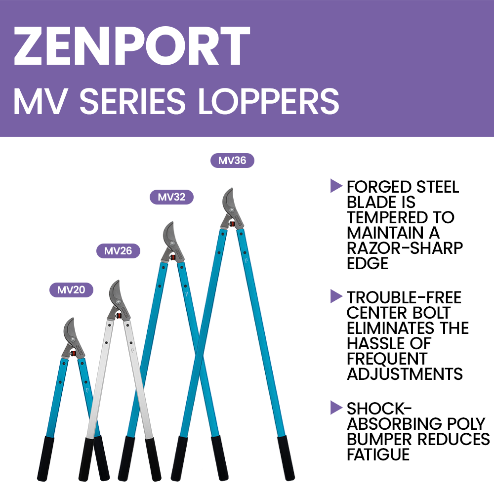 (image for) Zenport Lopper MV20 Professional Vine and Light Tree Lopper, 2-Inch Cut, Forged Head, 20-Inch Long