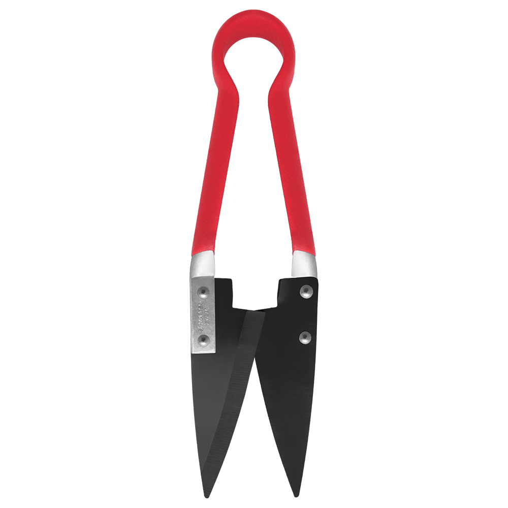Zenport Onion Shears ZL122M Onion Topping Sheep Shear, 4.5-Inch Carbon Steel Blade, 11-Inch Long (image for) Zenport Onion Shears ZL122M Onion Topping Sheep Shear, 4.5-Inch Carbon Steel Blade, 11-Inch Long