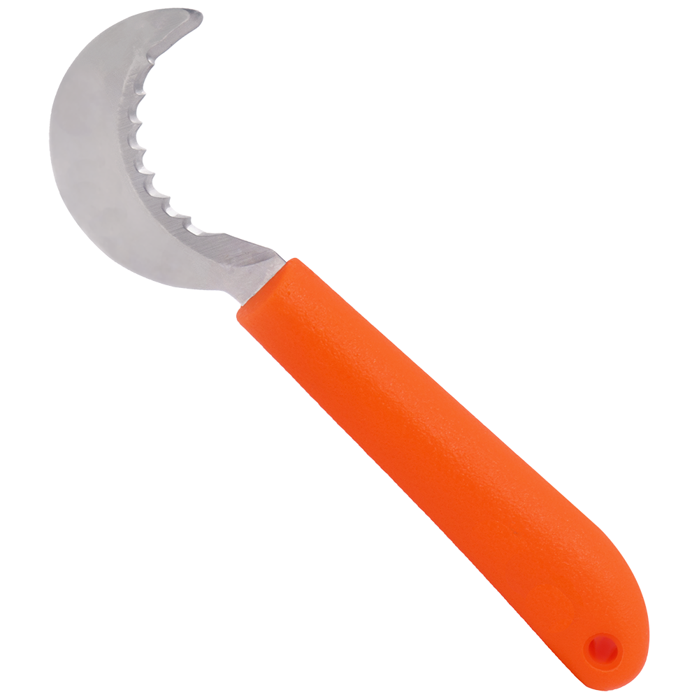 A generic image