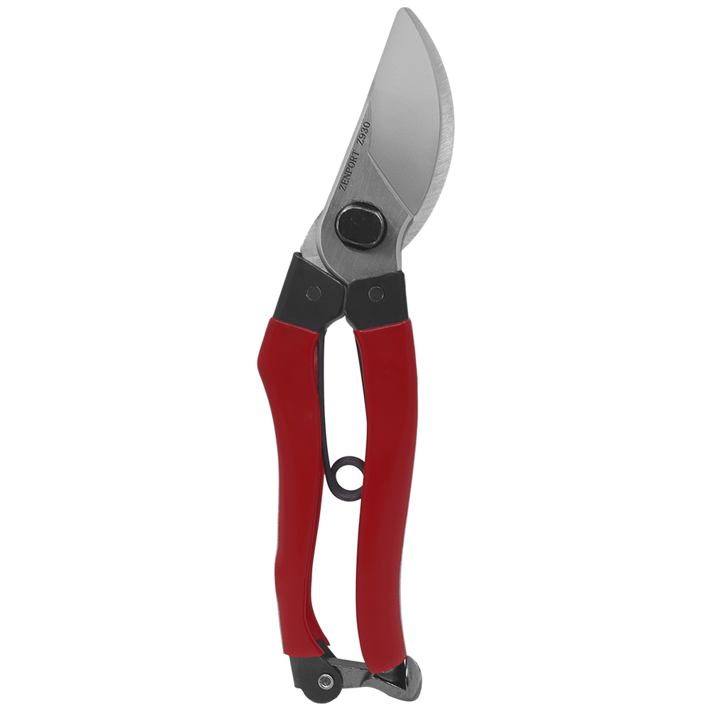 A generic image