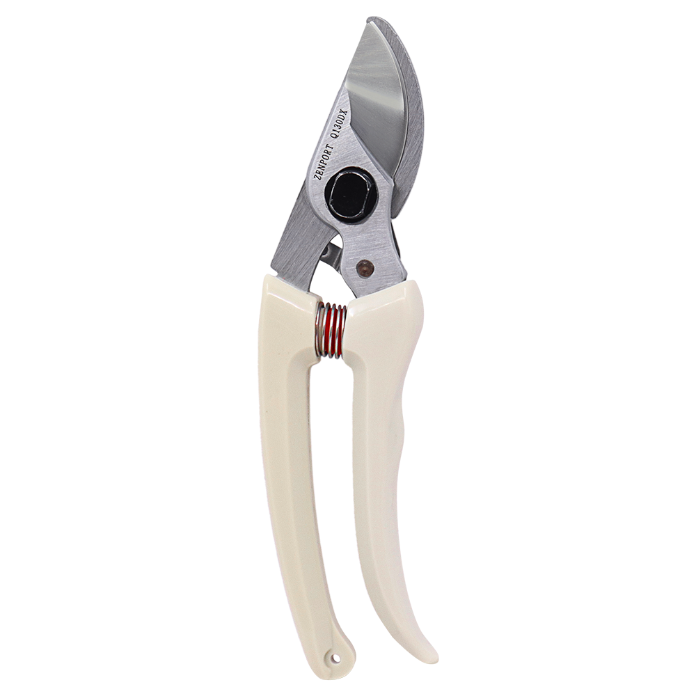 A generic image