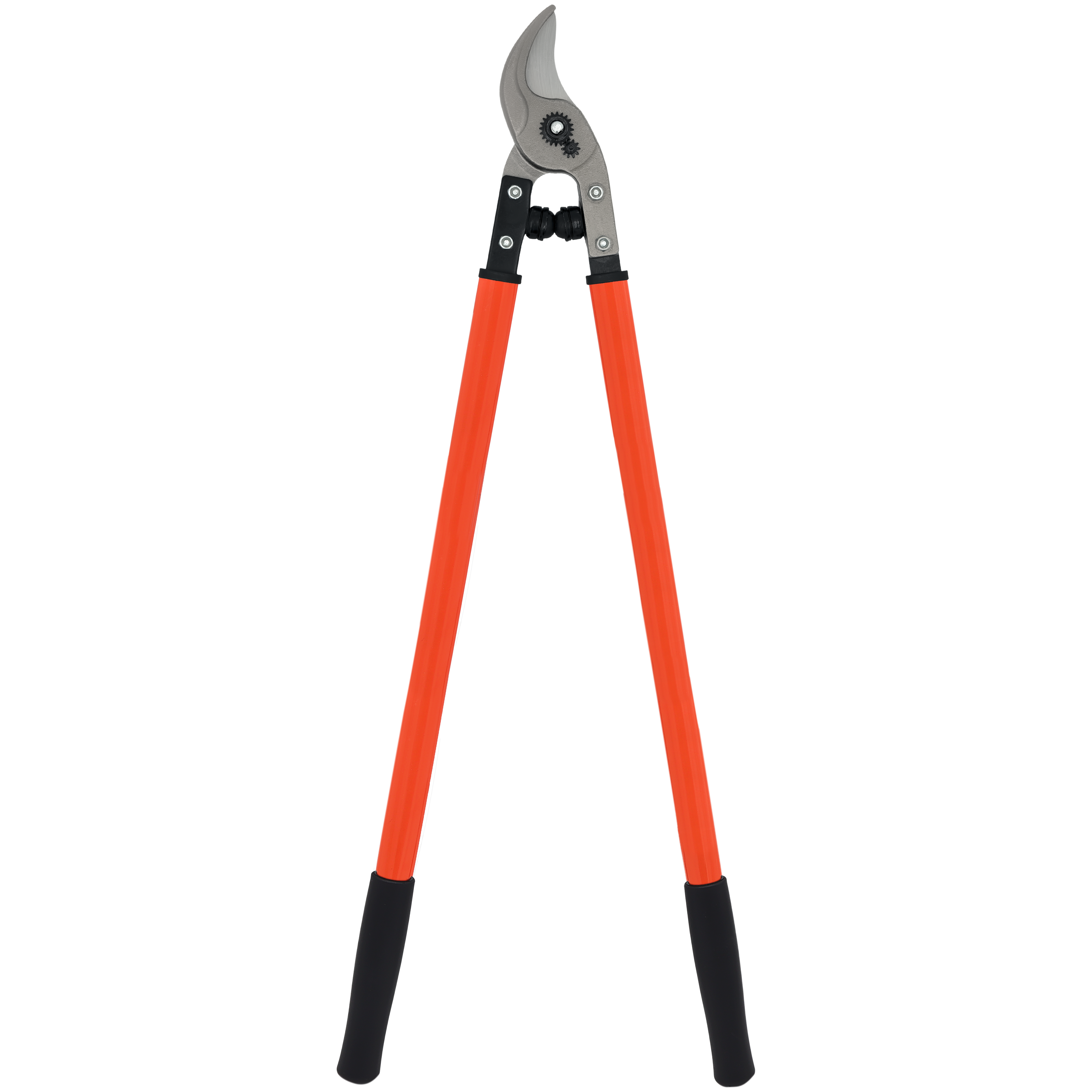 (image for) Zenport Lopper MV175 Professional Orchard and Landscape Tree Lopper, 2-Inch Cut, 30-Inch Long (P160-75)