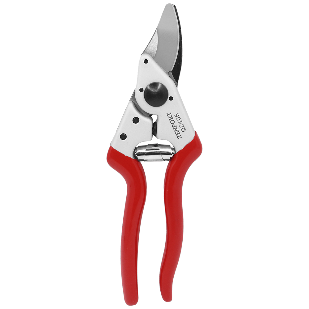 A generic image