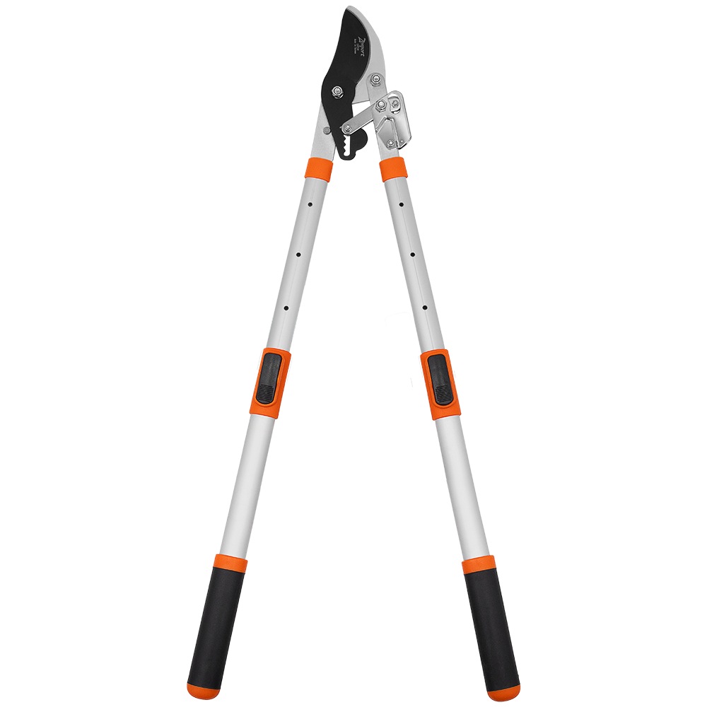 (image for) Zenport Lopper LRT10 Telescopic Ratchet Bypass Lopper 31-Inch to 43-Inch