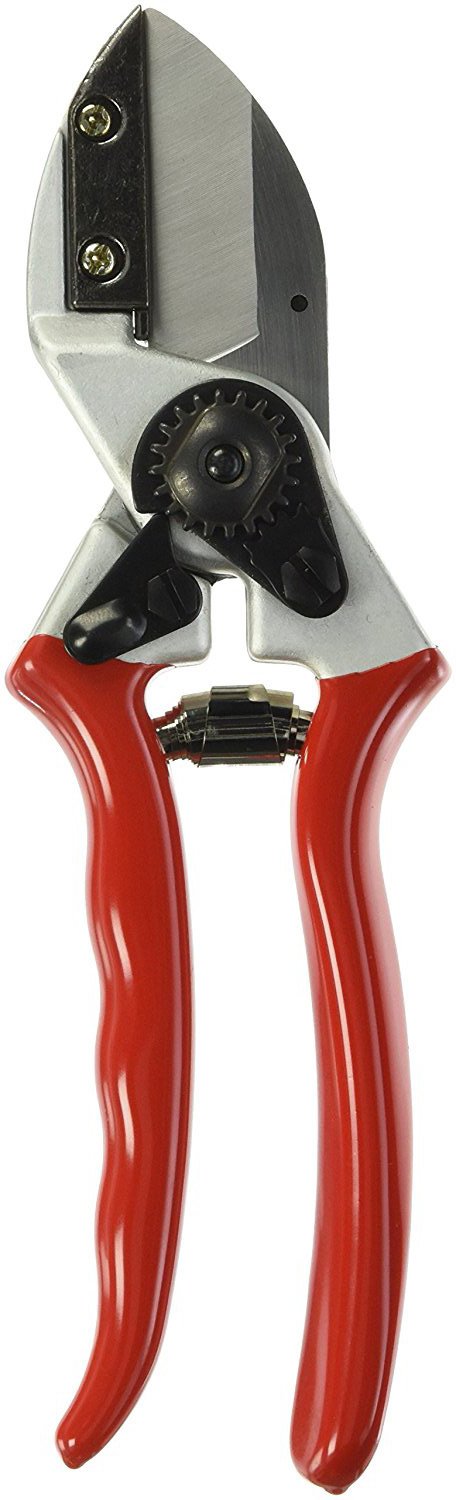 Zenport QZ431 Pruner Anvil Professional, 1-Inch Cut, 8.3-Inch Long (image for) Zenport QZ431 Pruner Anvil Professional, 1-Inch Cut, 8.3-Inch Long