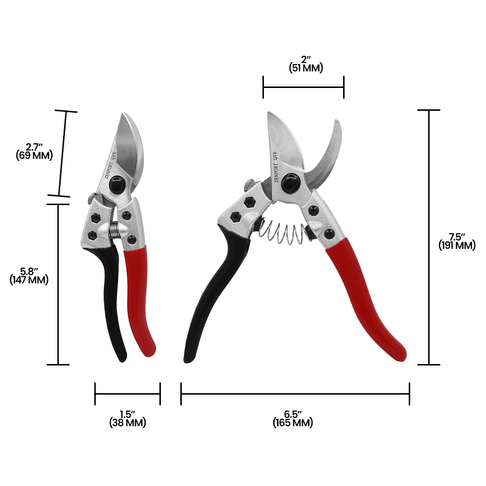 A generic image