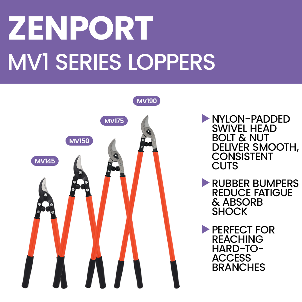 (image for) Zenport Lopper MV145 Professional Vine and Light Tree Lopper, 1.25-Inch Cut, 20-Inch, P14-50