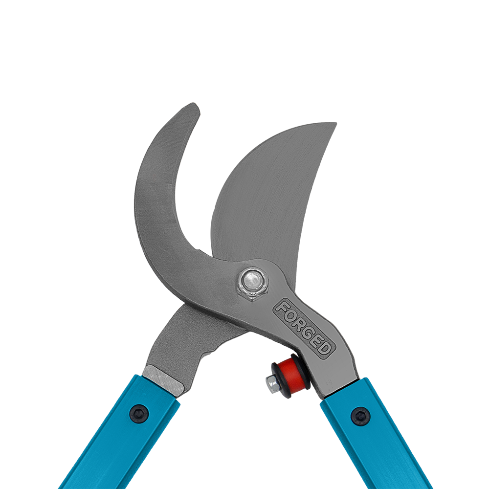A generic image