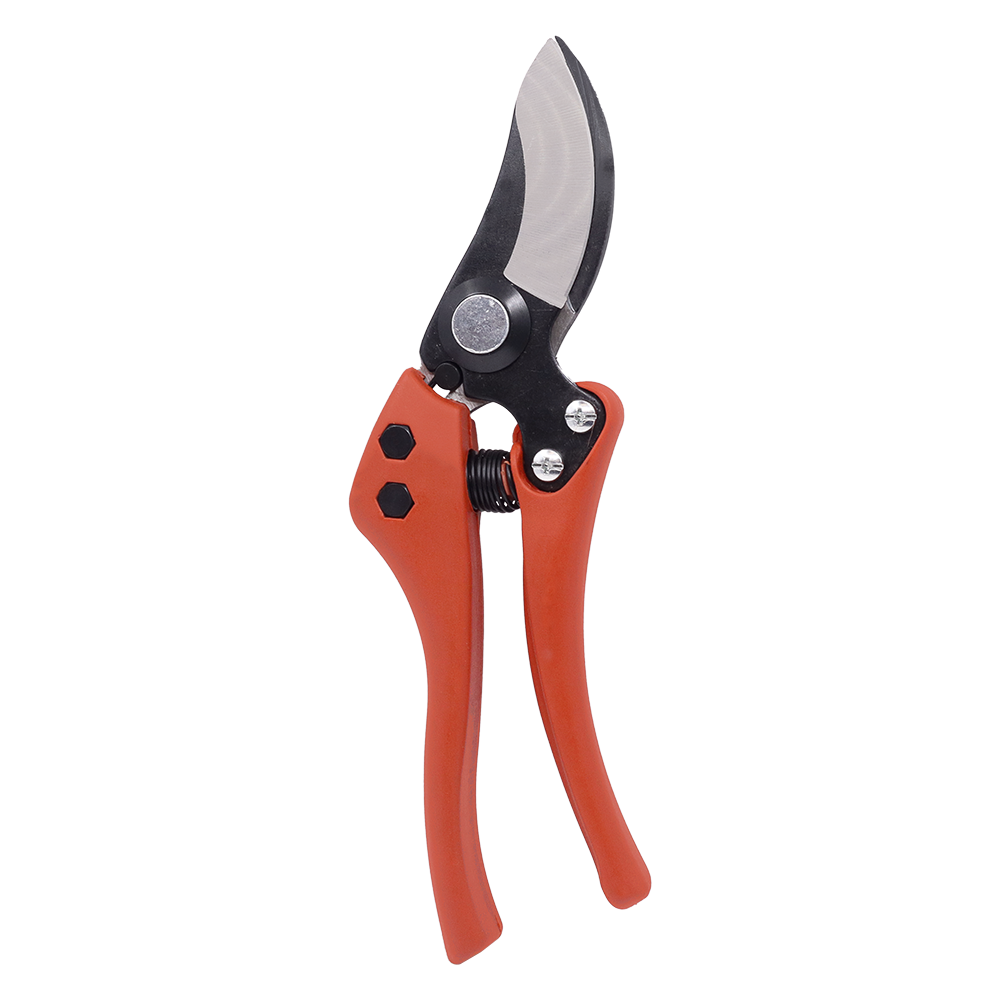 A generic image