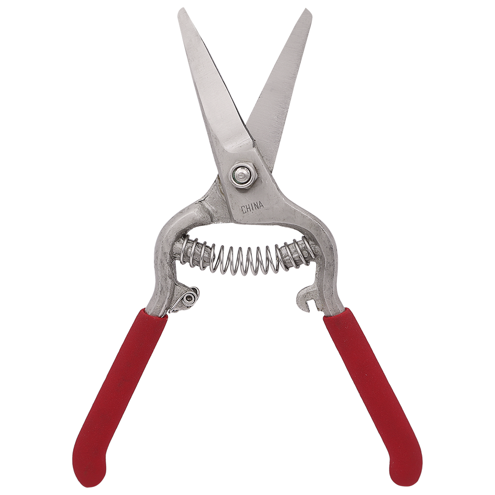 Zenport Z280 Pruner Small Curved Needlenose Pruning Shear, Grape, Drop Forged Steel, 8-Inch Long (image for) Zenport Z280 Pruner Small Curved Needlenose Pruning Shear, Grape, Drop Forged Steel, 8-Inch Long