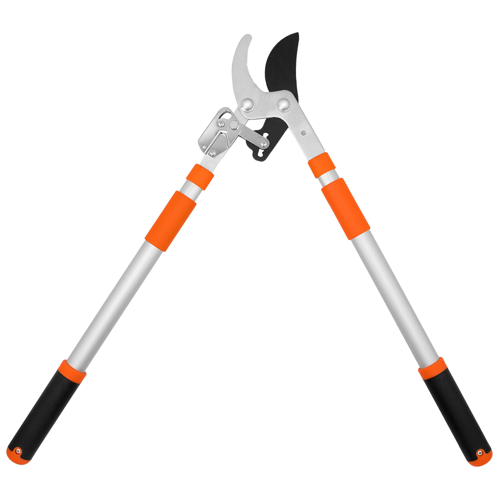 (image for) Zenport Lopper LRT10 Telescopic Ratchet Bypass Lopper 31-Inch to 43-Inch