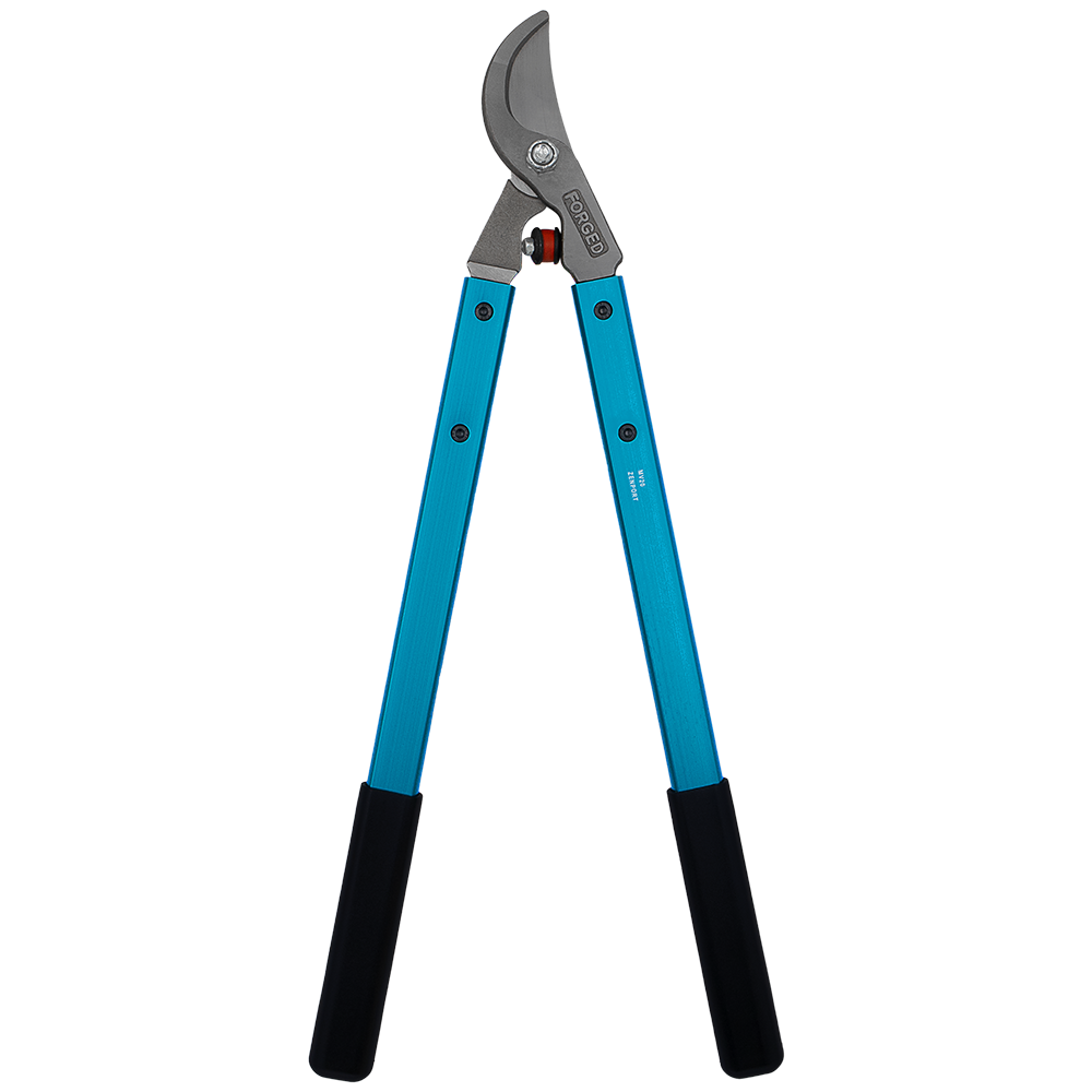 (image for) Zenport Lopper MV20 Professional Vine and Light Tree Lopper, 2-Inch Cut, Forged Head, 20-Inch Long