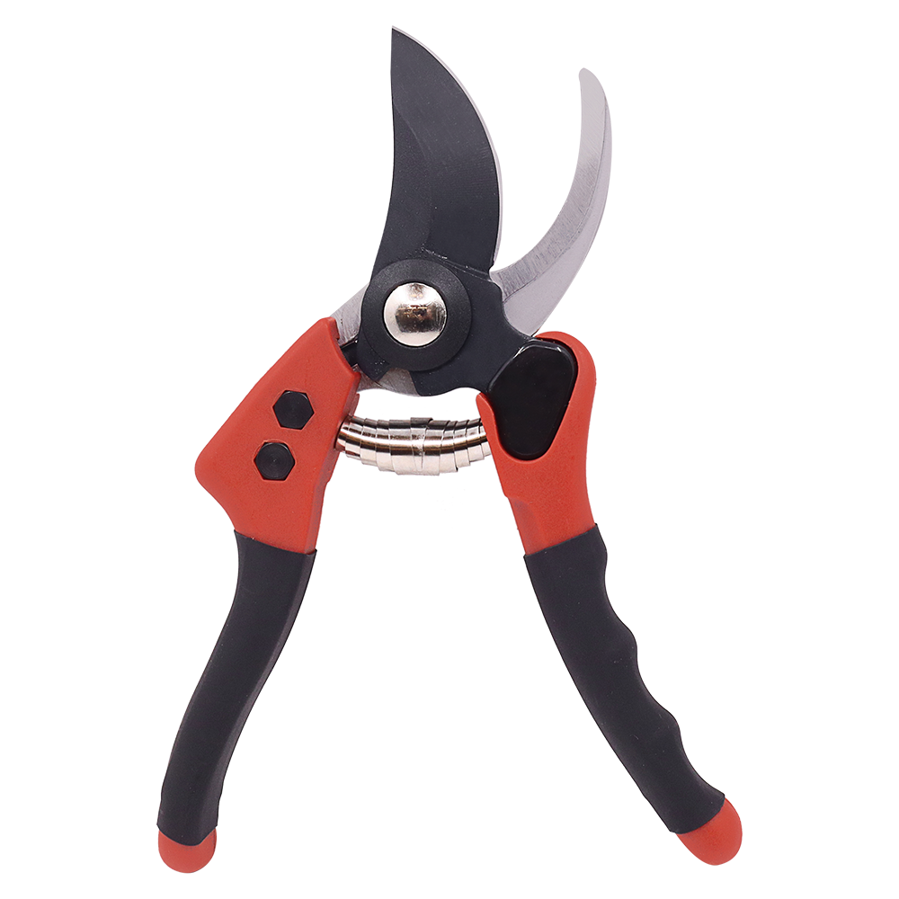 A generic image