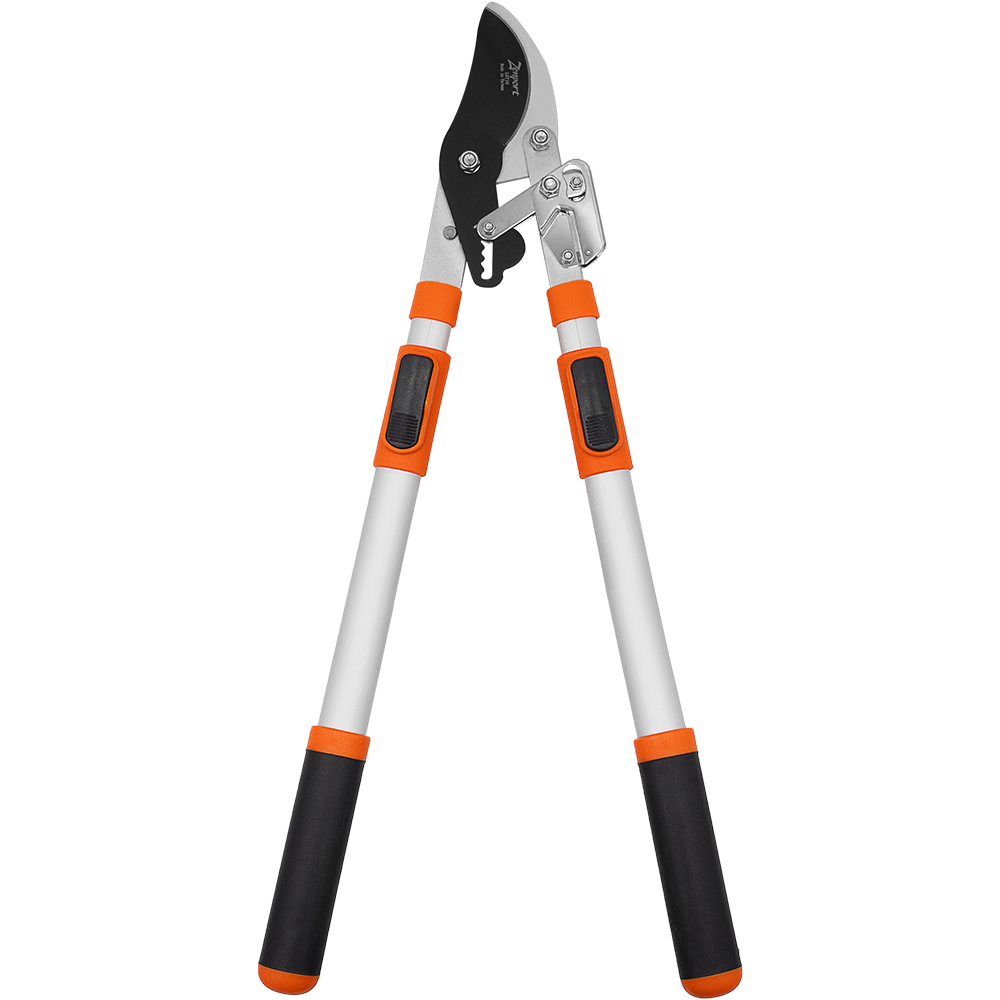 (image for) Zenport Lopper LRT10 Telescopic Ratchet Bypass Lopper 31-Inch to 43-Inch