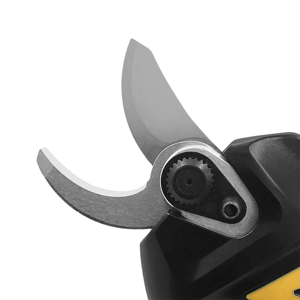 A generic image