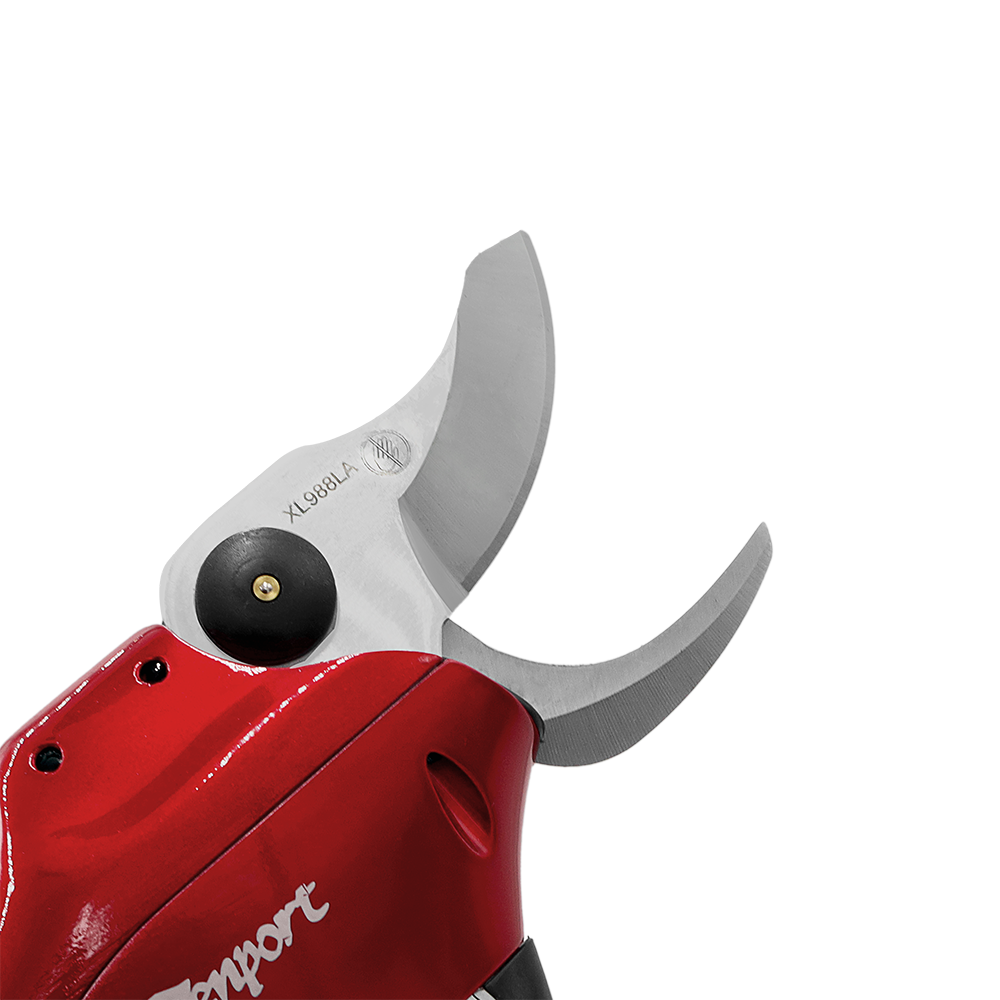 A generic image