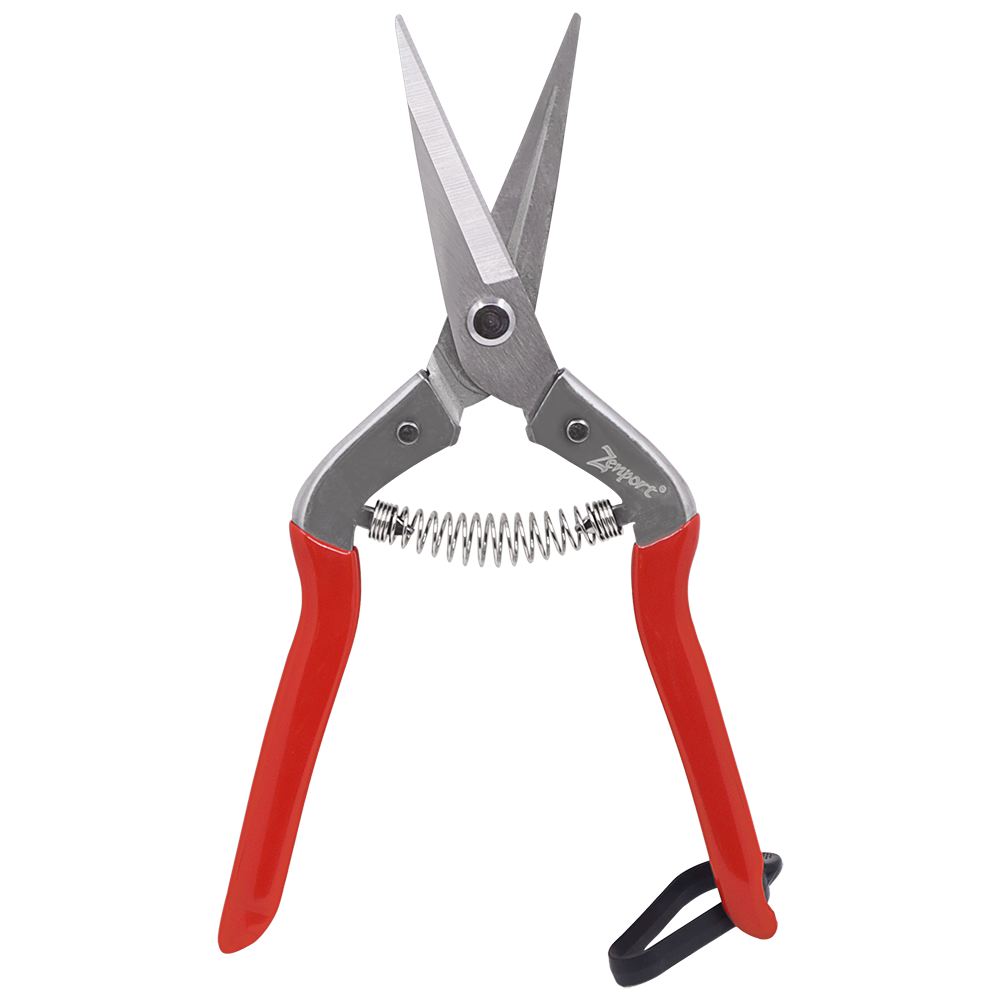 Zenport H300S Harvest Shears, Long Stainless Blade, Straight Edge, Propagation, Harvesting, Thinning Plants, Cutting Flowers (image for) Zenport H300S Harvest Shears, Long Stainless Blade, Straight Edge, Propagation, Harvesting, Thinning Plants, Cutting Flowers