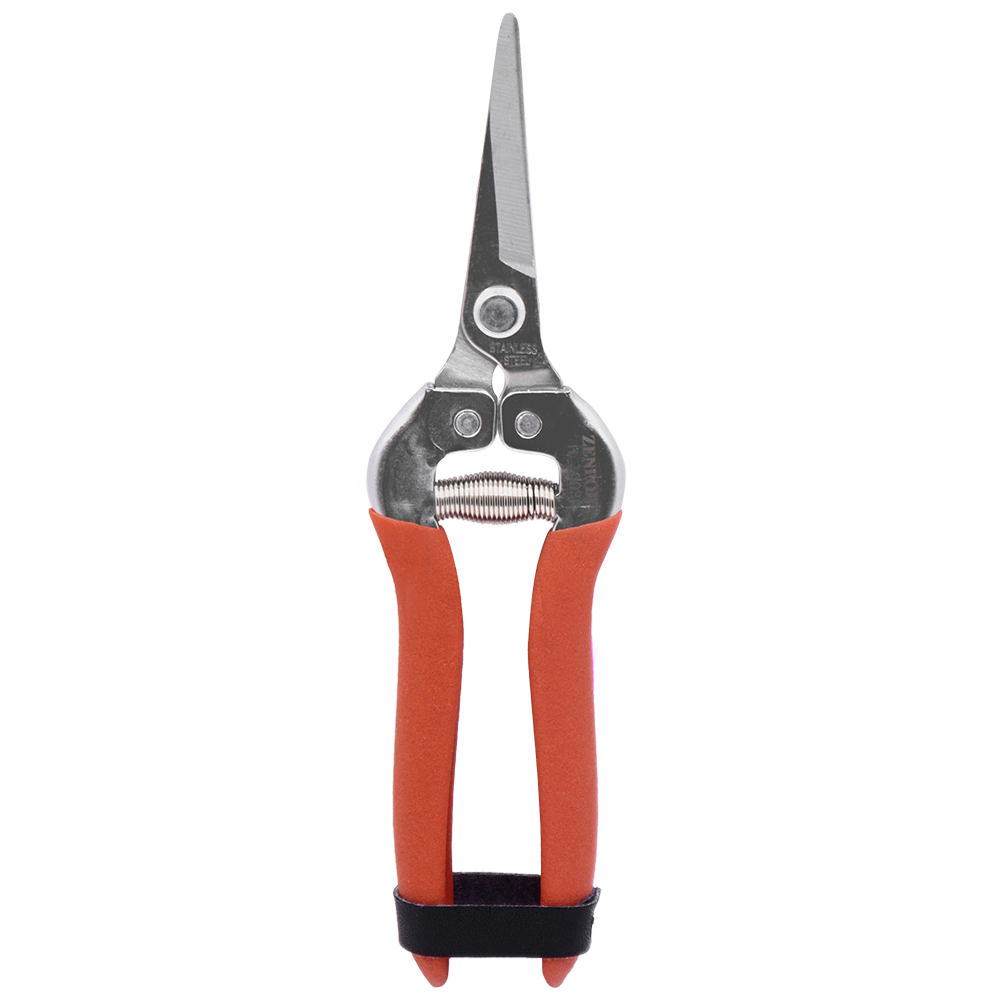 A generic image