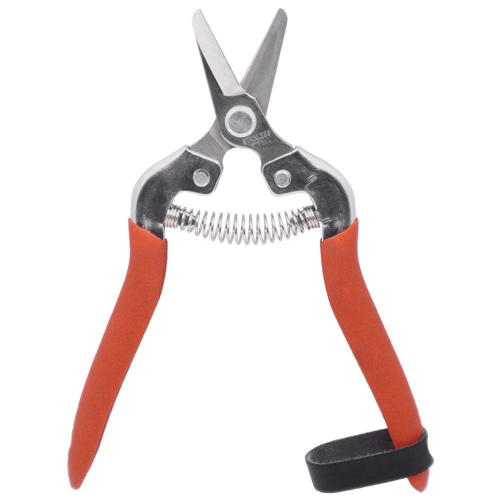 Zenport Shears H301S Fruit Shear, Short Stainless Blade, Straight Edge (image for) Zenport Shears H301S Fruit Shear, Short Stainless Blade, Straight Edge