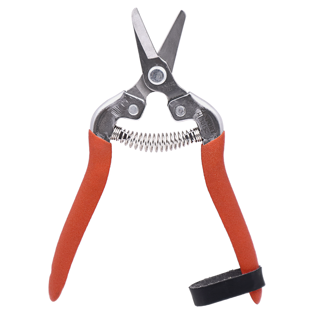 Zenport Shears H301SC Fruit Harvest Shear, Short Curved Stainless Steel Blades (image for) Zenport Shears H301SC Fruit Harvest Shear, Short Curved Stainless Steel Blades