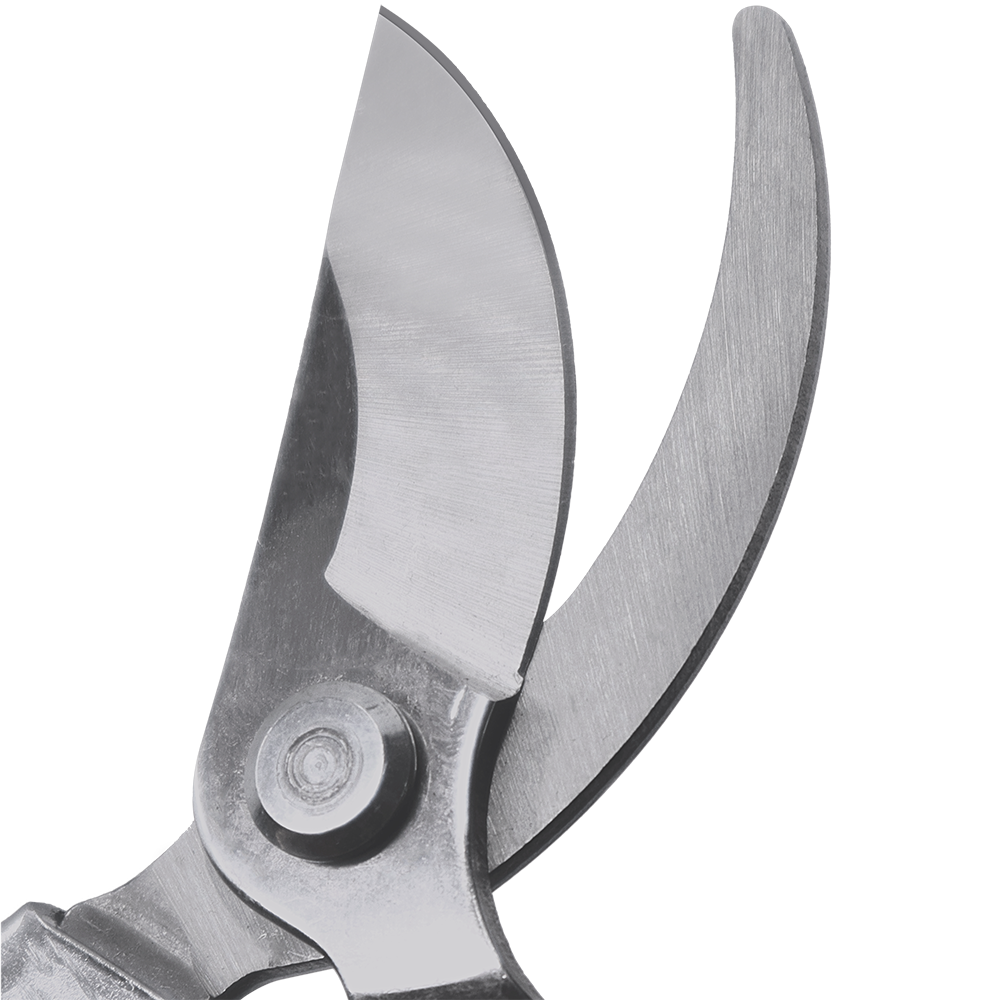 A generic image